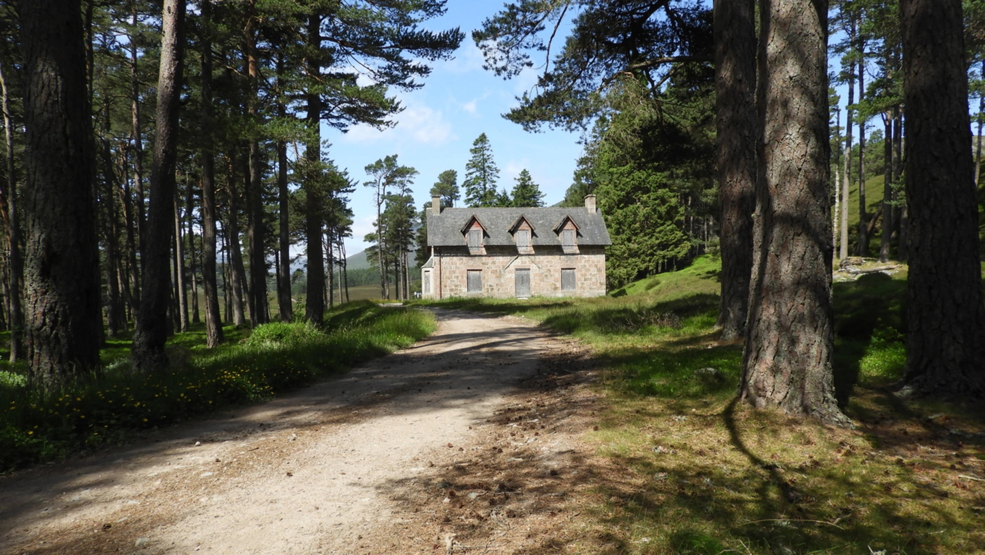 An image depicting the trail East Ridge From Derry Lodge and its surrounding area.