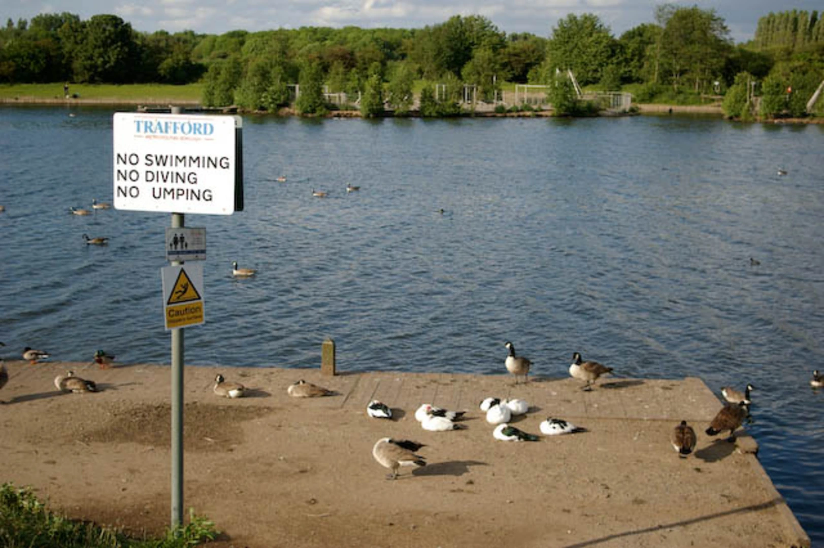 An image depicting the trail Bridgewater Canal Walk from Sale Water Park and its surrounding area.