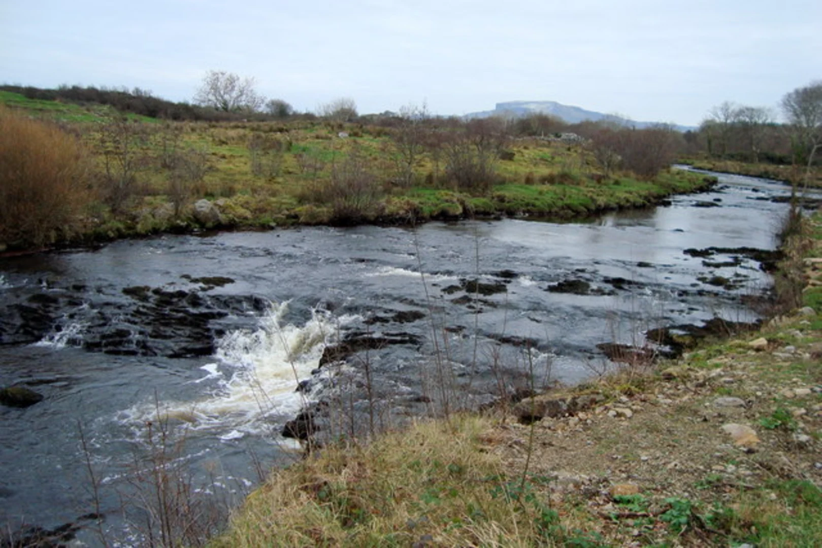 An image depicting the trail Bunduff River Walk and its surrounding area.