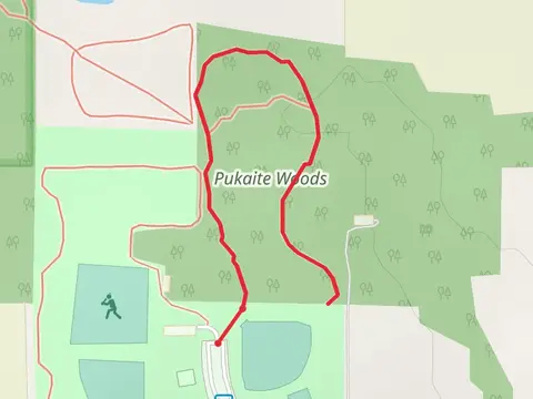Pukaite Woods