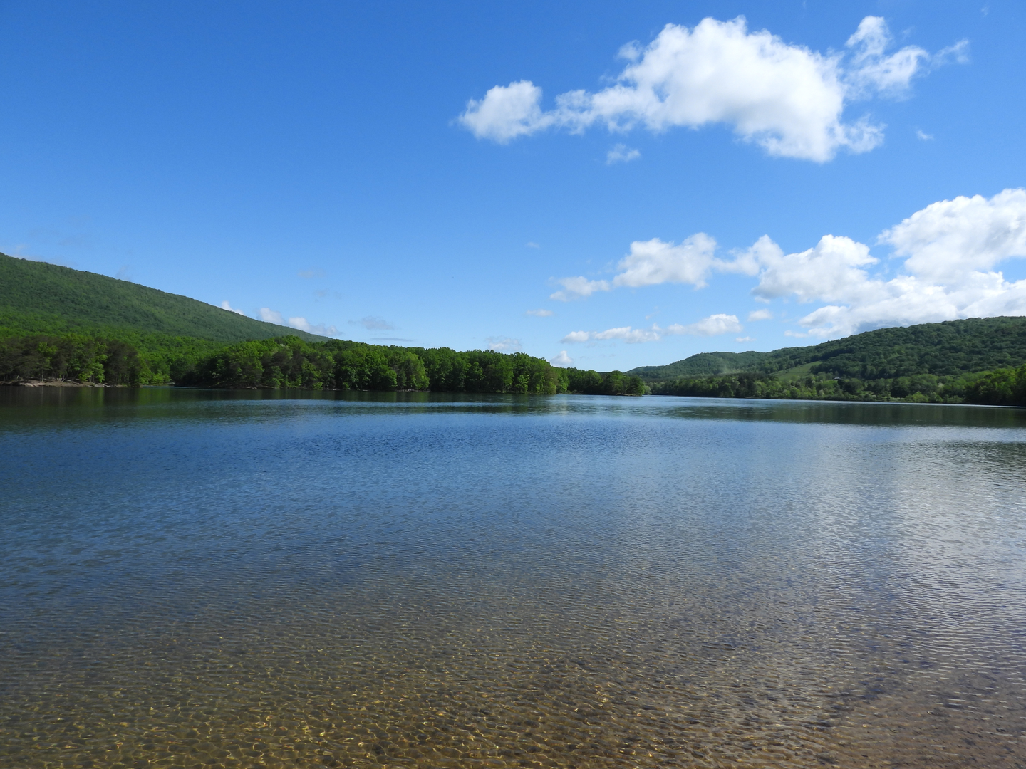 An image depicting the trail Evitts Mountain and Lake Habeeb Loop and its surrounding area.