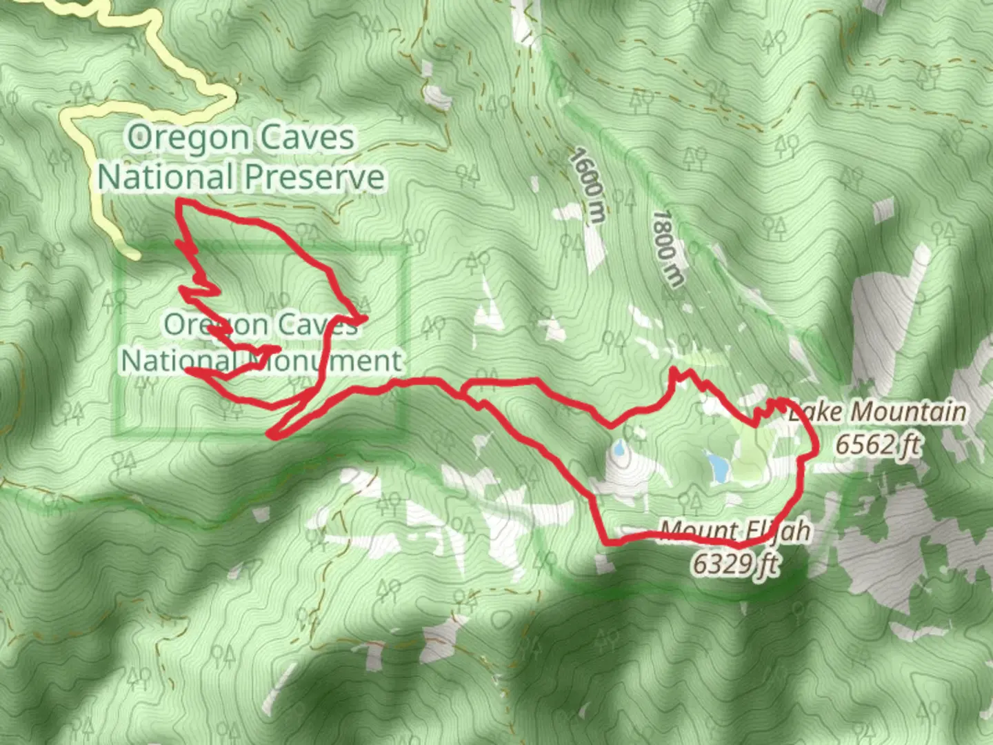 An image depicting the trail Big Tree Trail and Mount Elijah Loop Trail and its surrounding area.