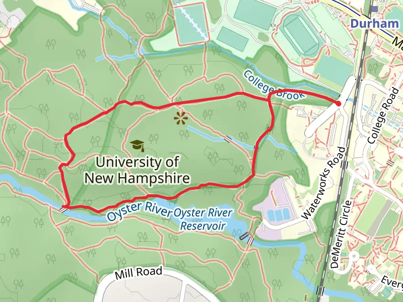 College Woods Natural Area Loop