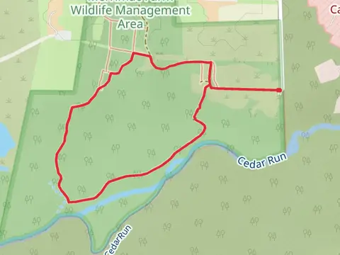 Bluebell Loop Trail