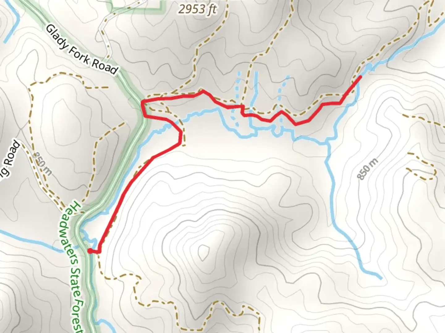 An image depicting the trail South Prong Glady Fork and its surrounding area.