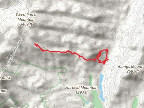 Weed Patch Mountain Trail and Buffalo Creek Park Loop