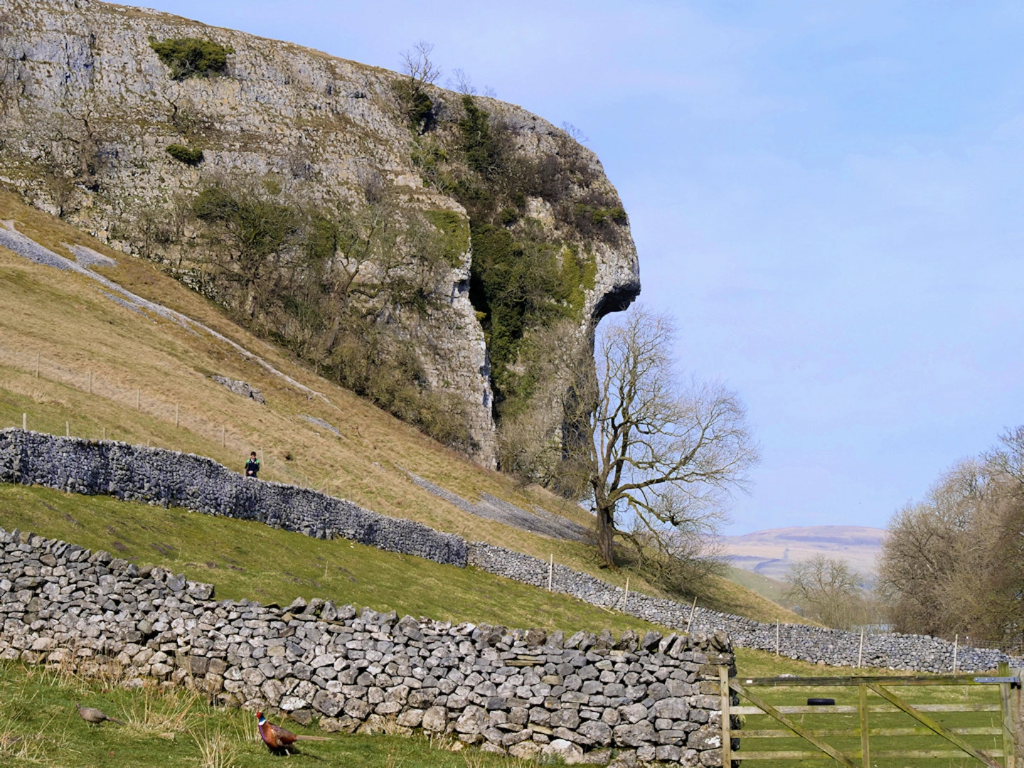An image depicting the trail Holywath FB, Coniston Fells and Levers Water and its surrounding area.