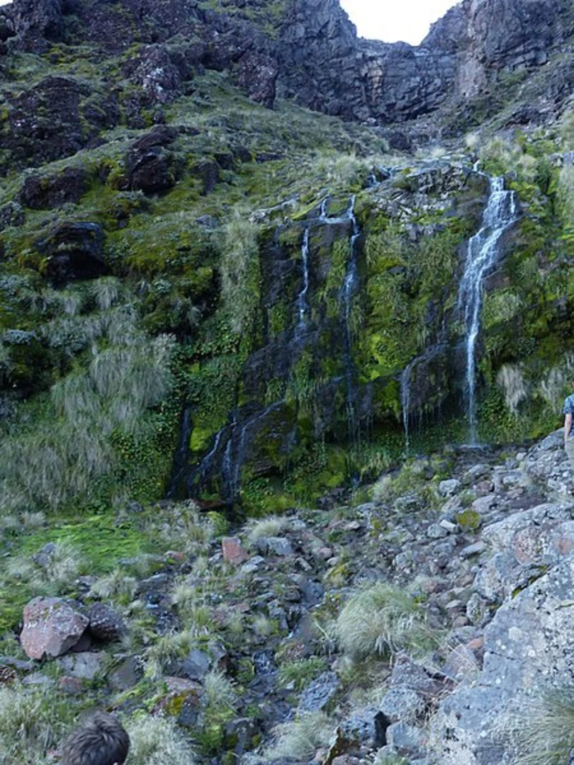 An image depicting the trail Soda Spring Trail and its surrounding area.