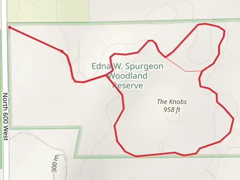The Knobs Loop