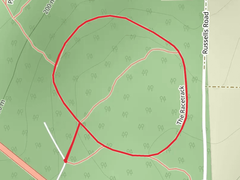 Racetrack Walk