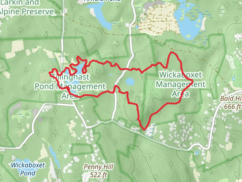Tillinghast Pond Trail and Wickaboxet Loop Trail