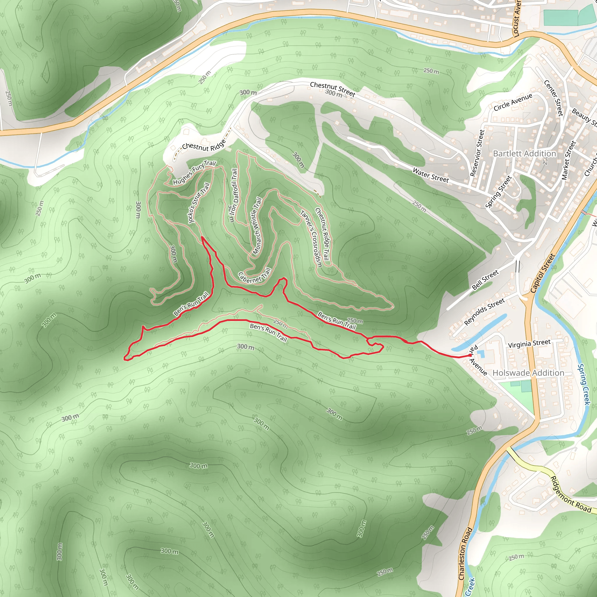 Ben's Run Loop Trail mobile static map