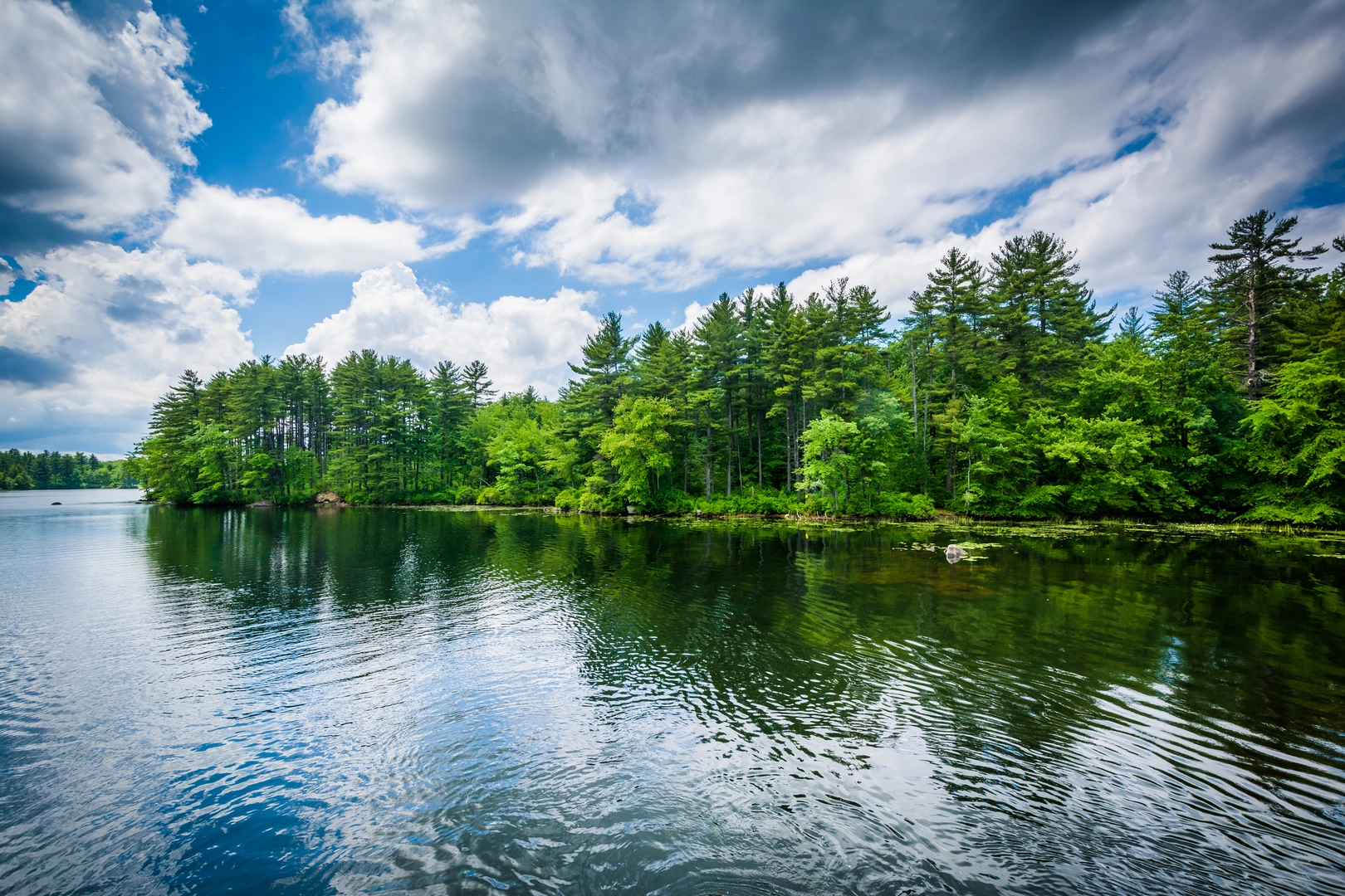 An image depicting the trail Little Massabesic Lake Trail and its surrounding area.