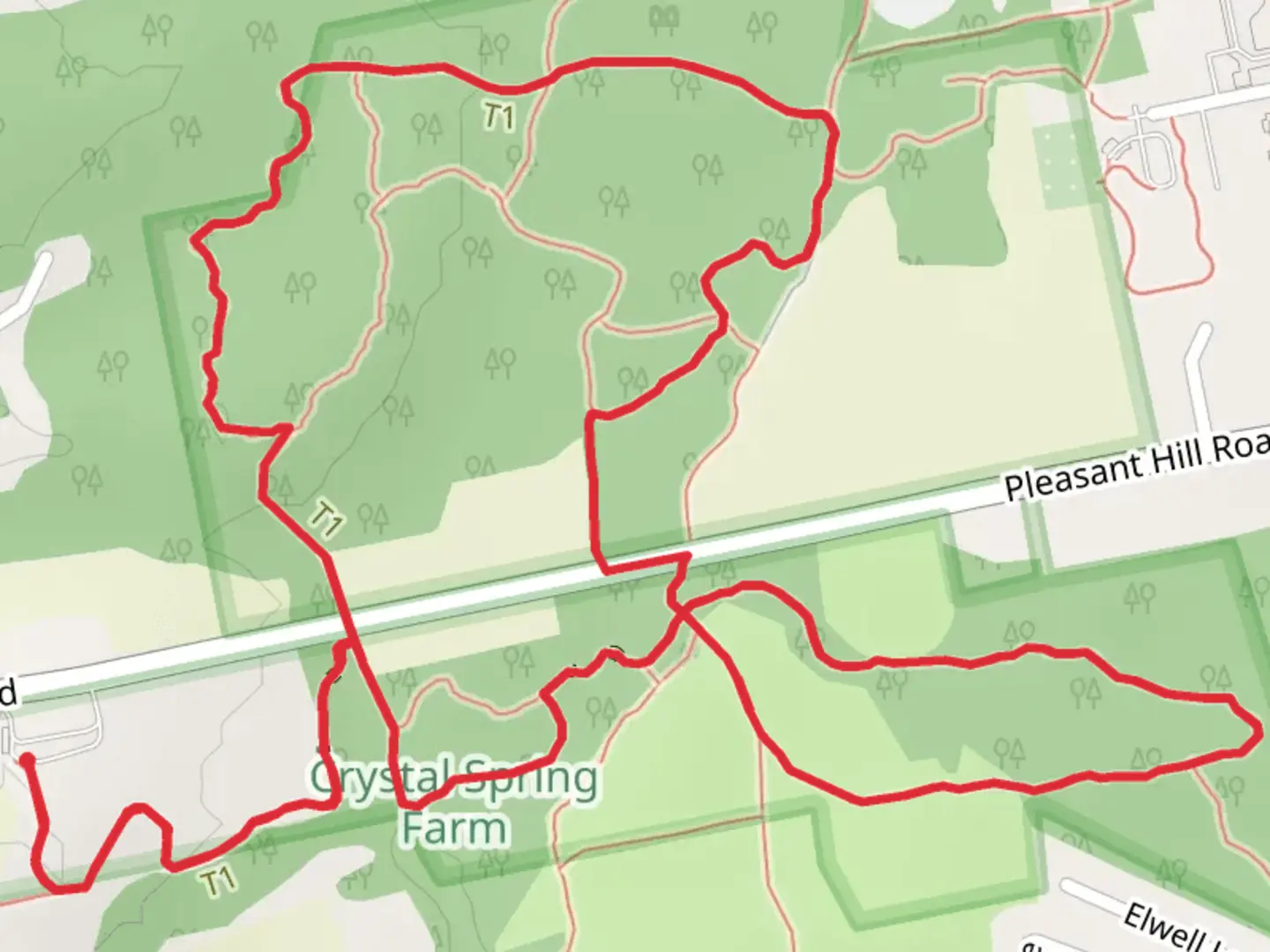 An image depicting the trail Blueberry Loop and Main Loop Trail and its surrounding area.