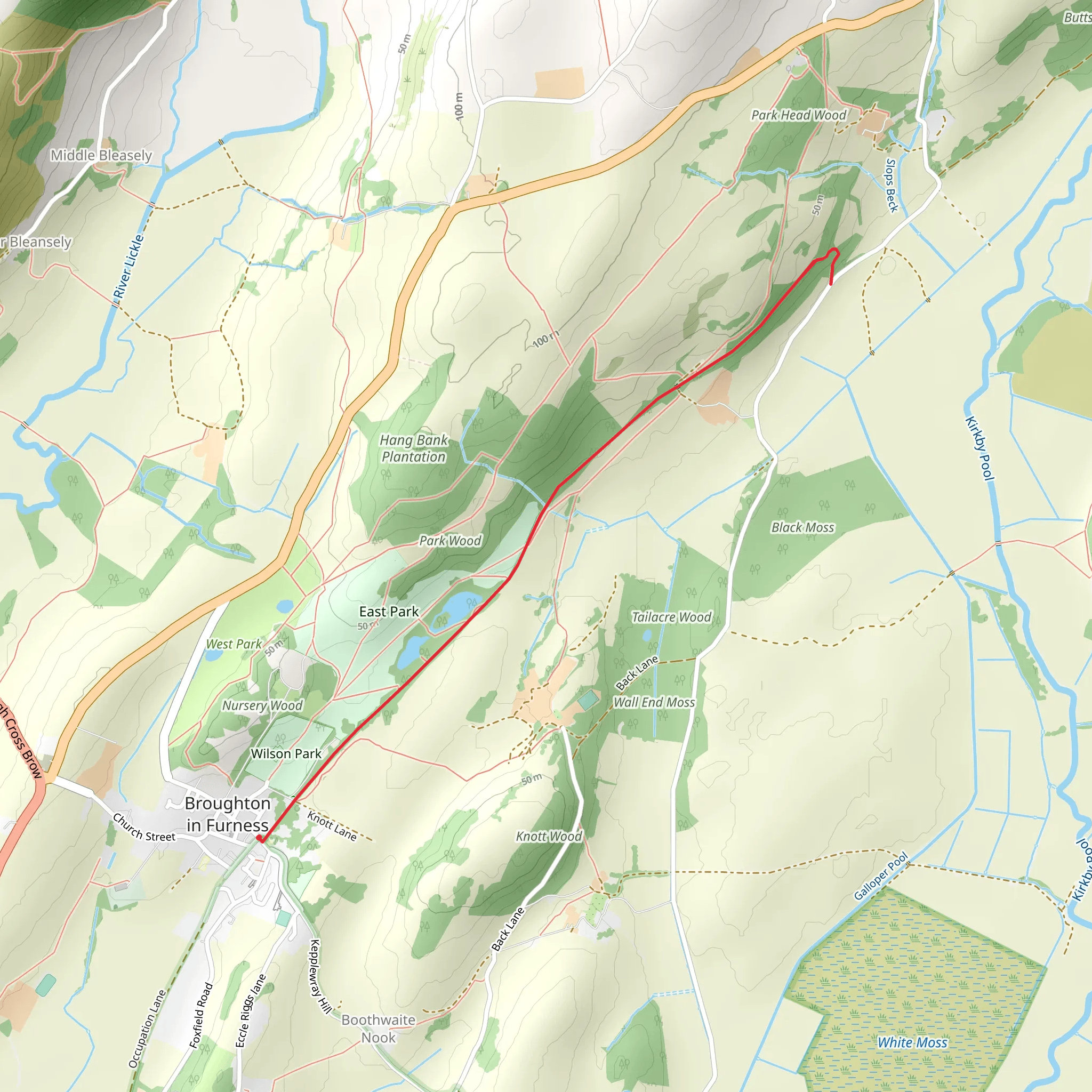 Broughton Railway mobile static map