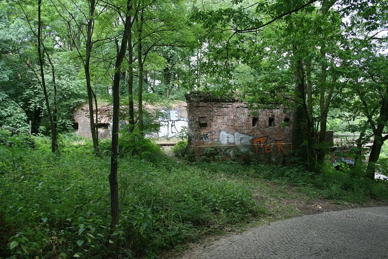 An image depicting the trail Branitzer Badesee and Kiekebusch Loop and its surrounding area.