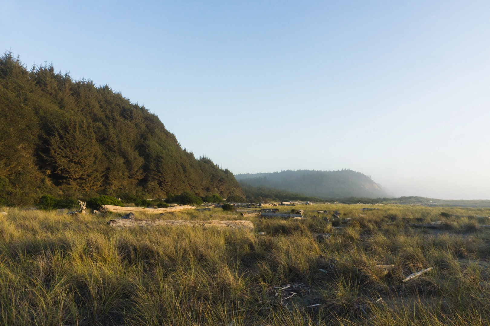 An image depicting the trail Lost Man Creek and its surrounding area.