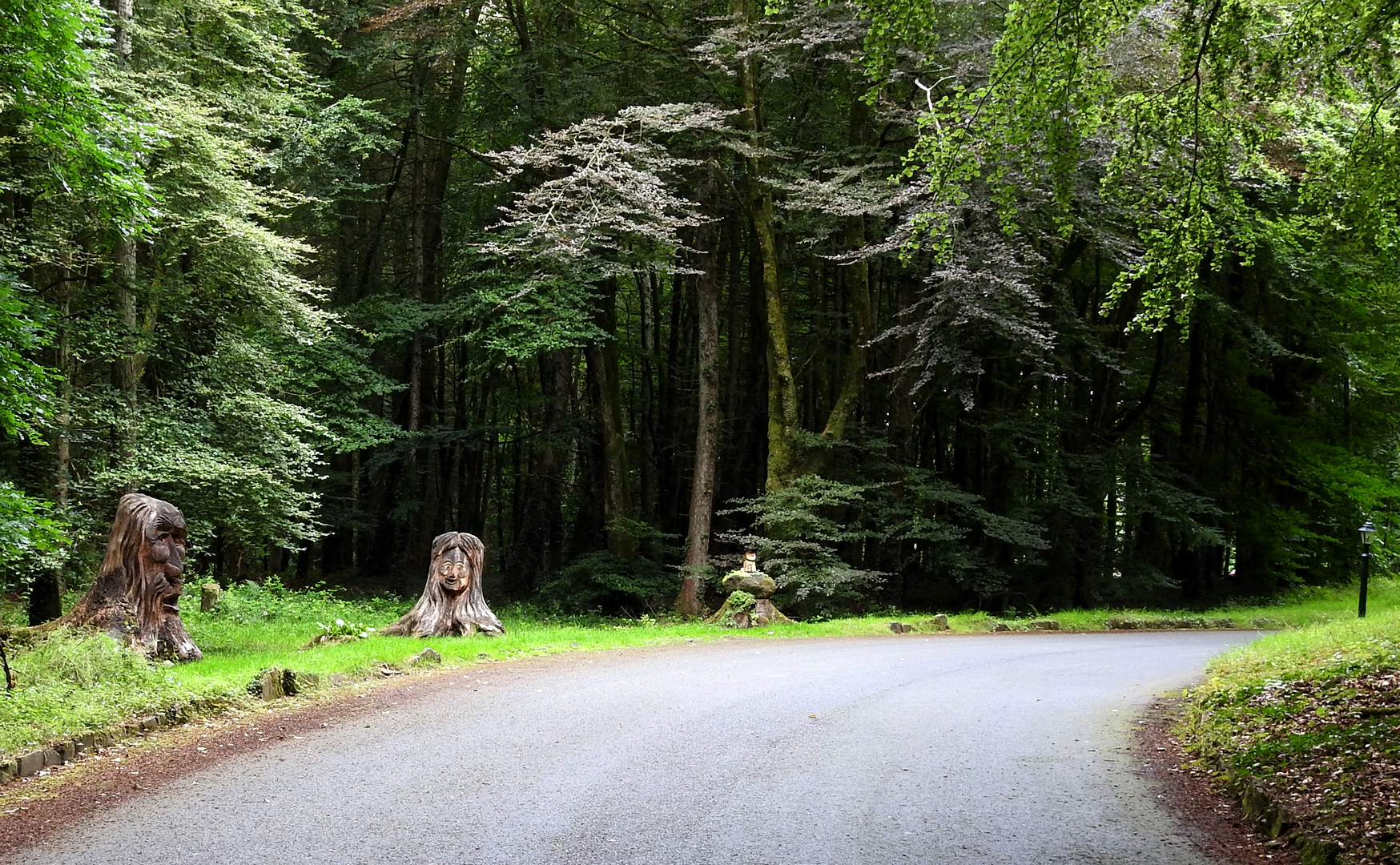 An image depicting the trail Kinnitty - Kinnitty Castle Loop and its surrounding area.