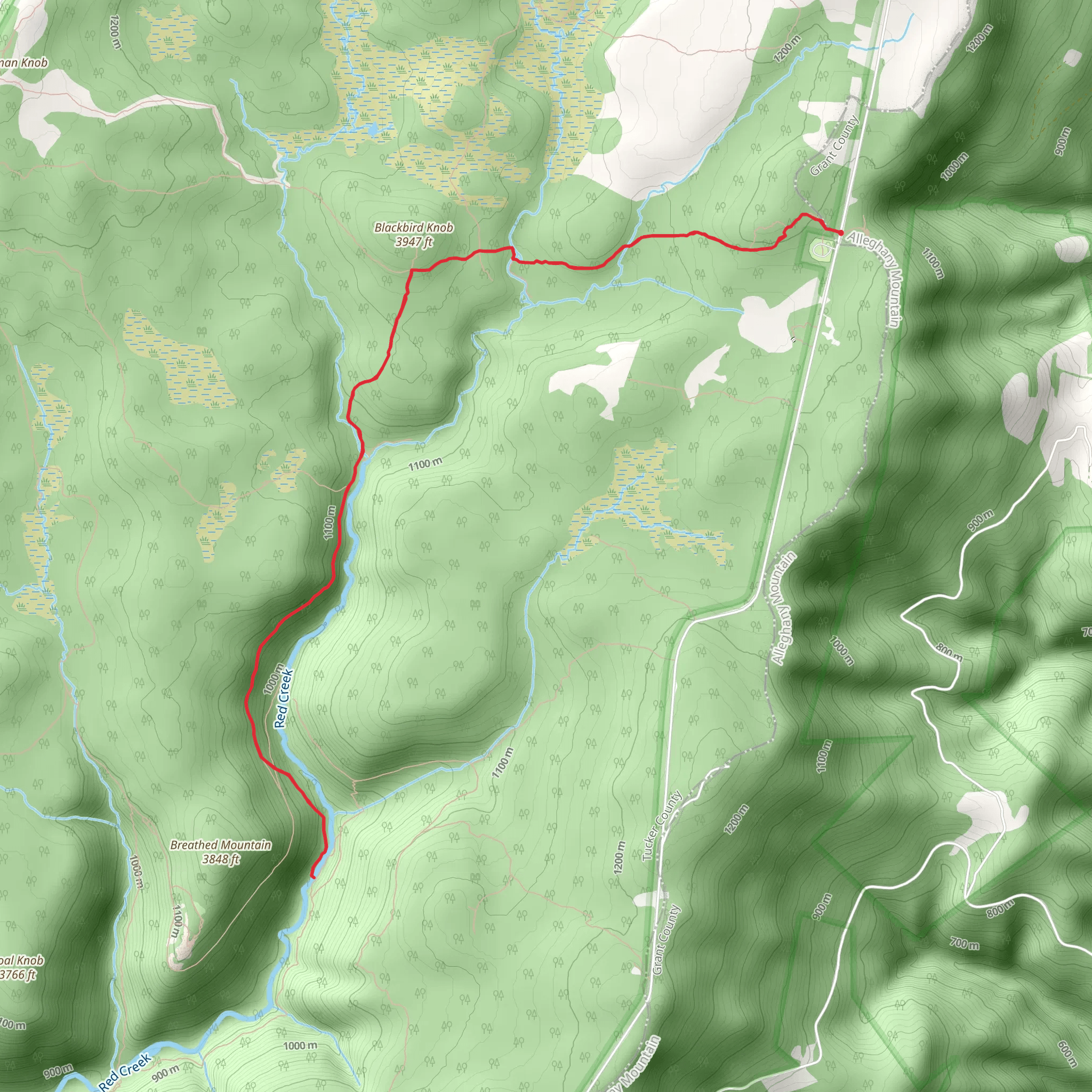 Red Creek and Blackbird Knob Trail mobile static map