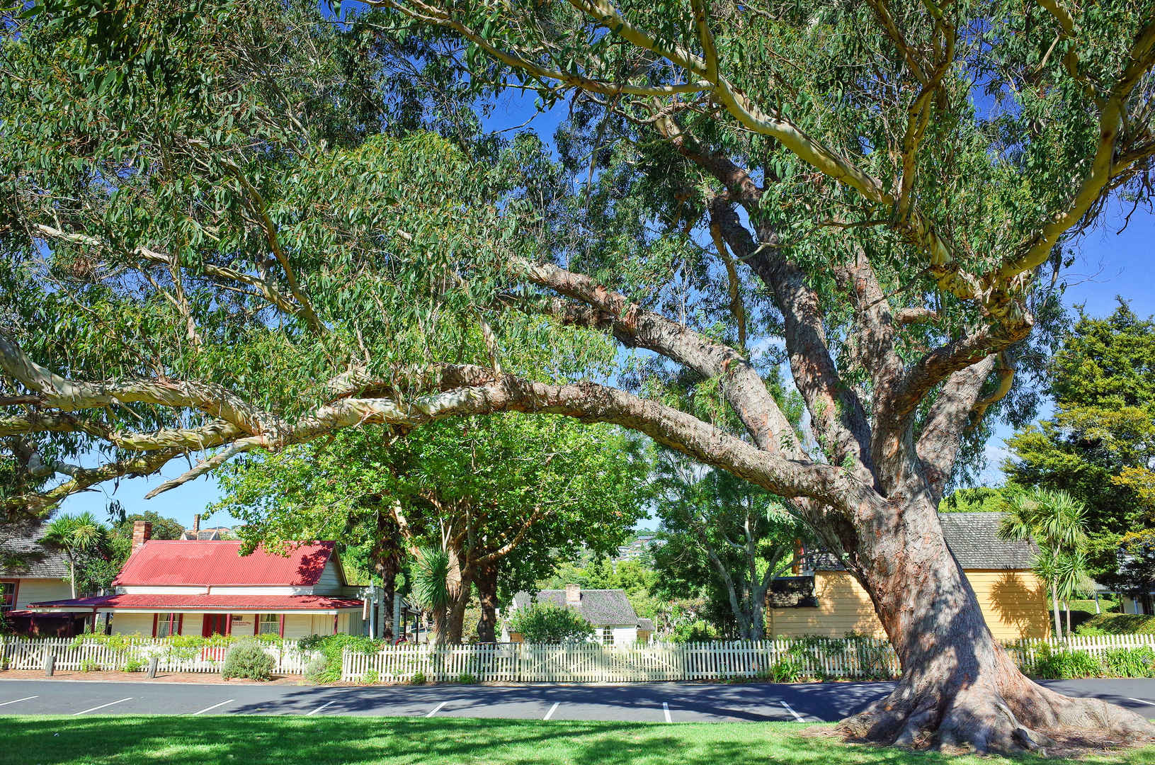 An image depicting the trail Frank Nobilo and Lloyd Elsmore Parks and its surrounding area.