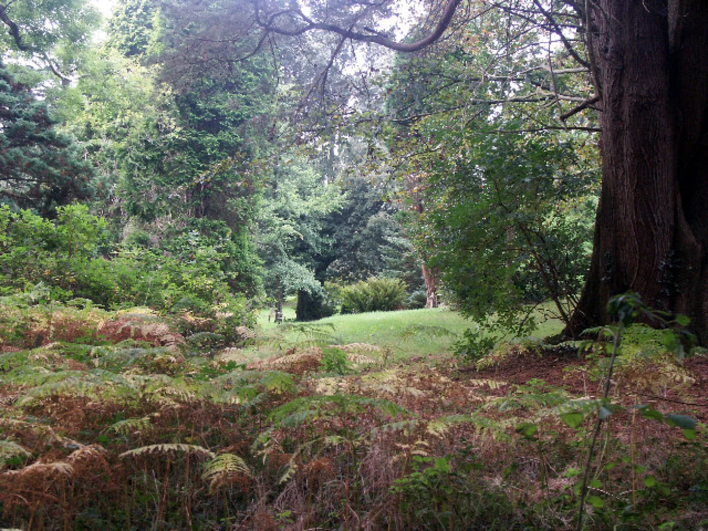 An image depicting the trail Upton Route and its surrounding area.