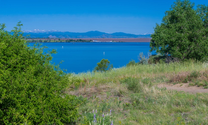 Cherry Creek Reservoir Loop