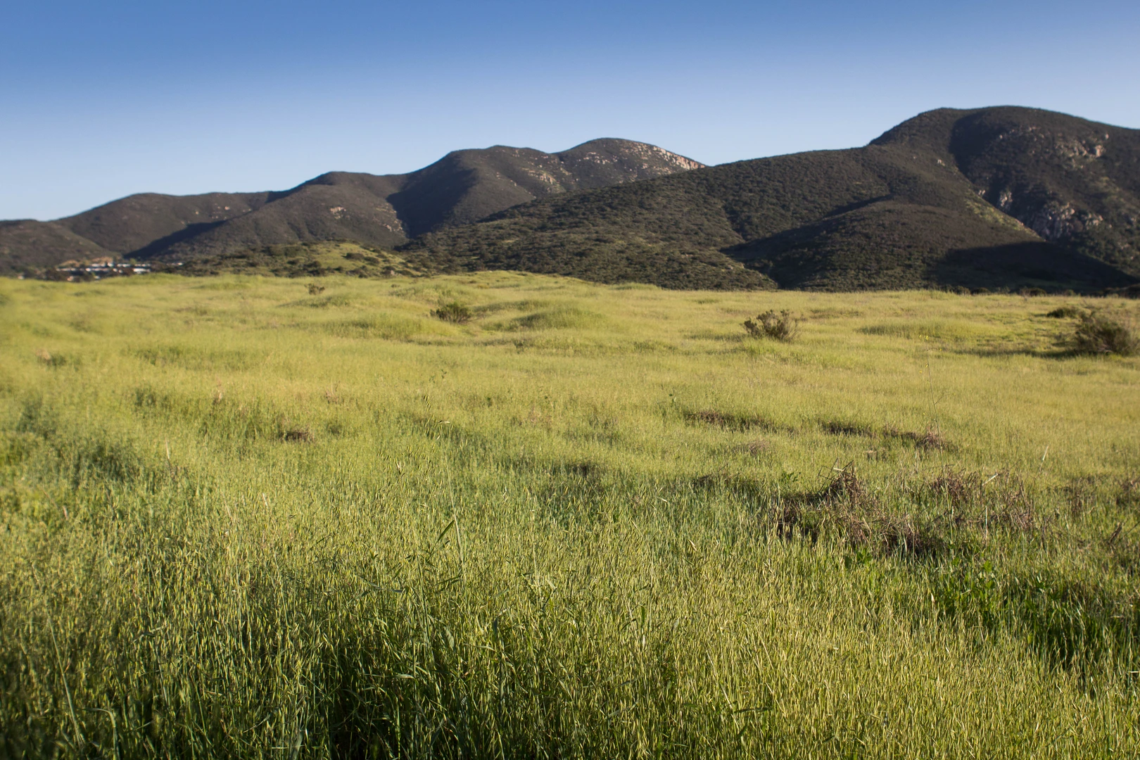 An image depicting the trail South Fortuna, South Fortuna Mountain and Fortuna Saddle Loop Trail and its surrounding area.