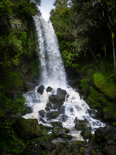 Vivian Falls Walk