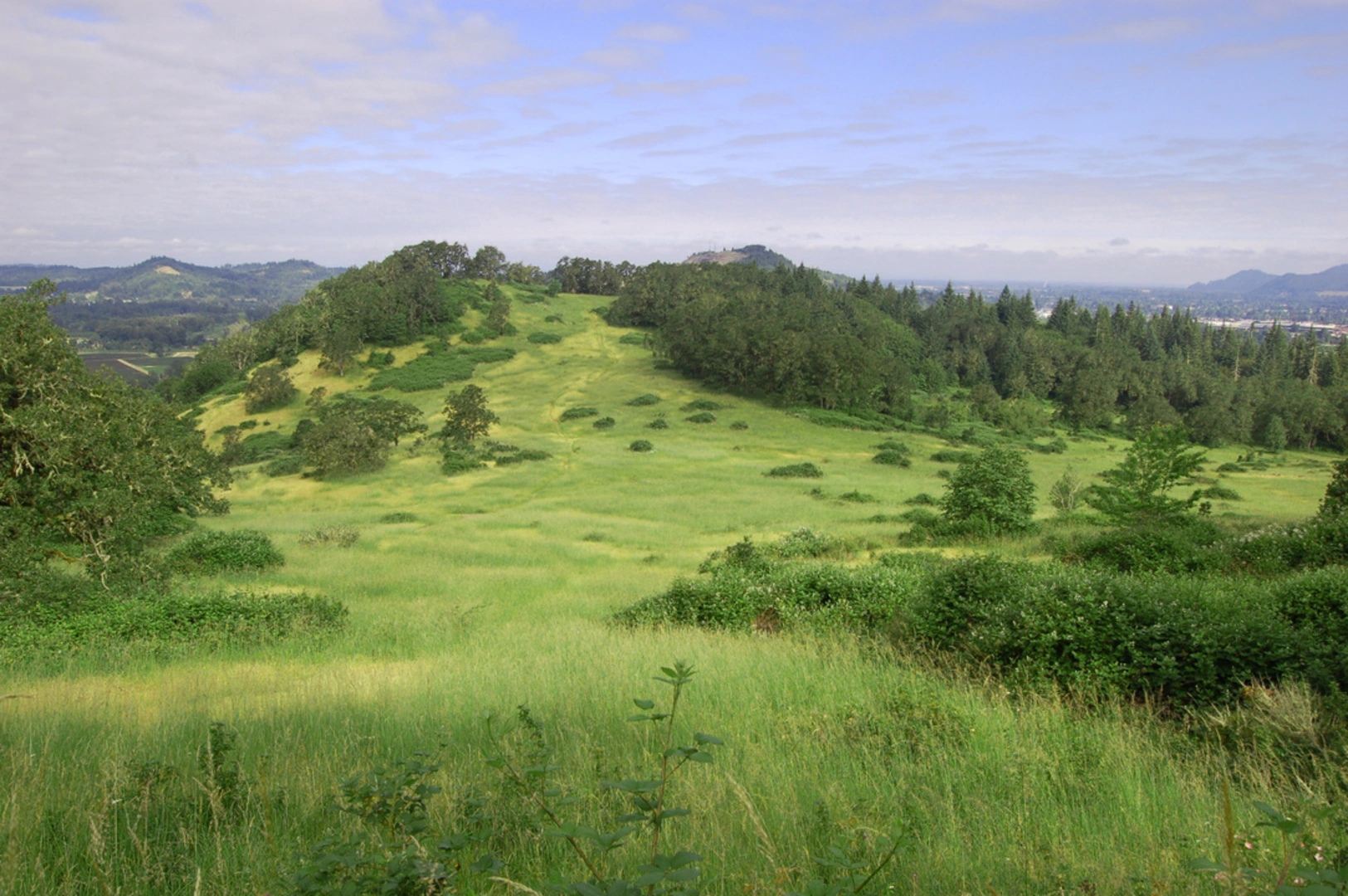 An image depicting the trail Mount Pisgah Loop and its surrounding area.