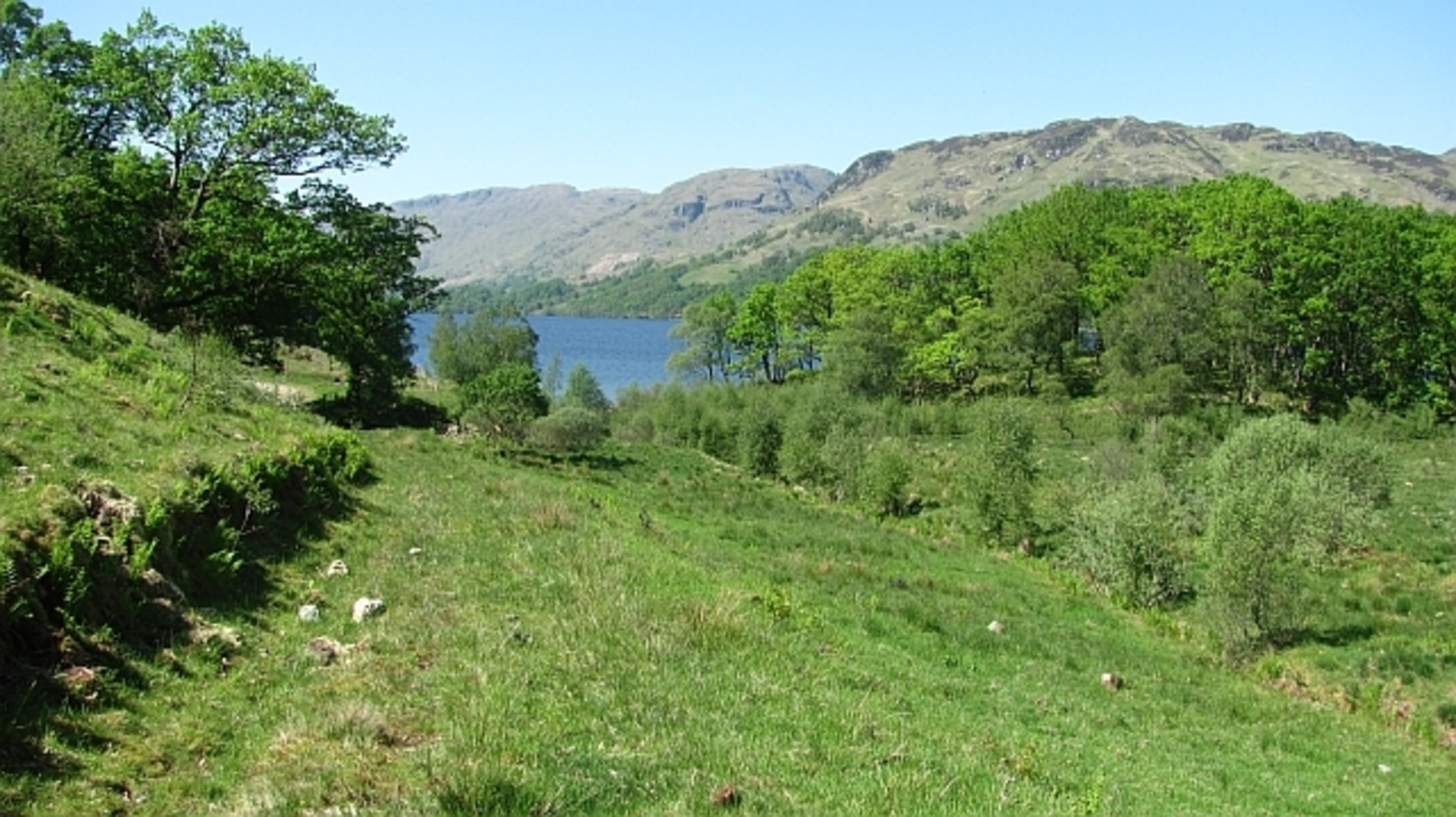 An image depicting the trail Brenachoile Viewpoint via Loch Katrine and its surrounding area.