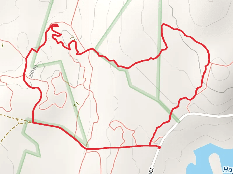 Leominster State Forest East Loop