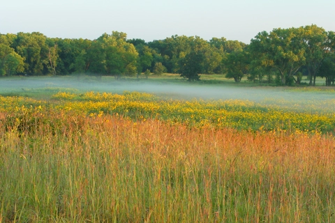 Homestead Trail