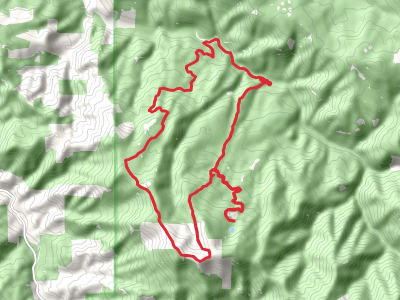 Crawfish Creek, Adams Mountain and Cedar Creek Loop