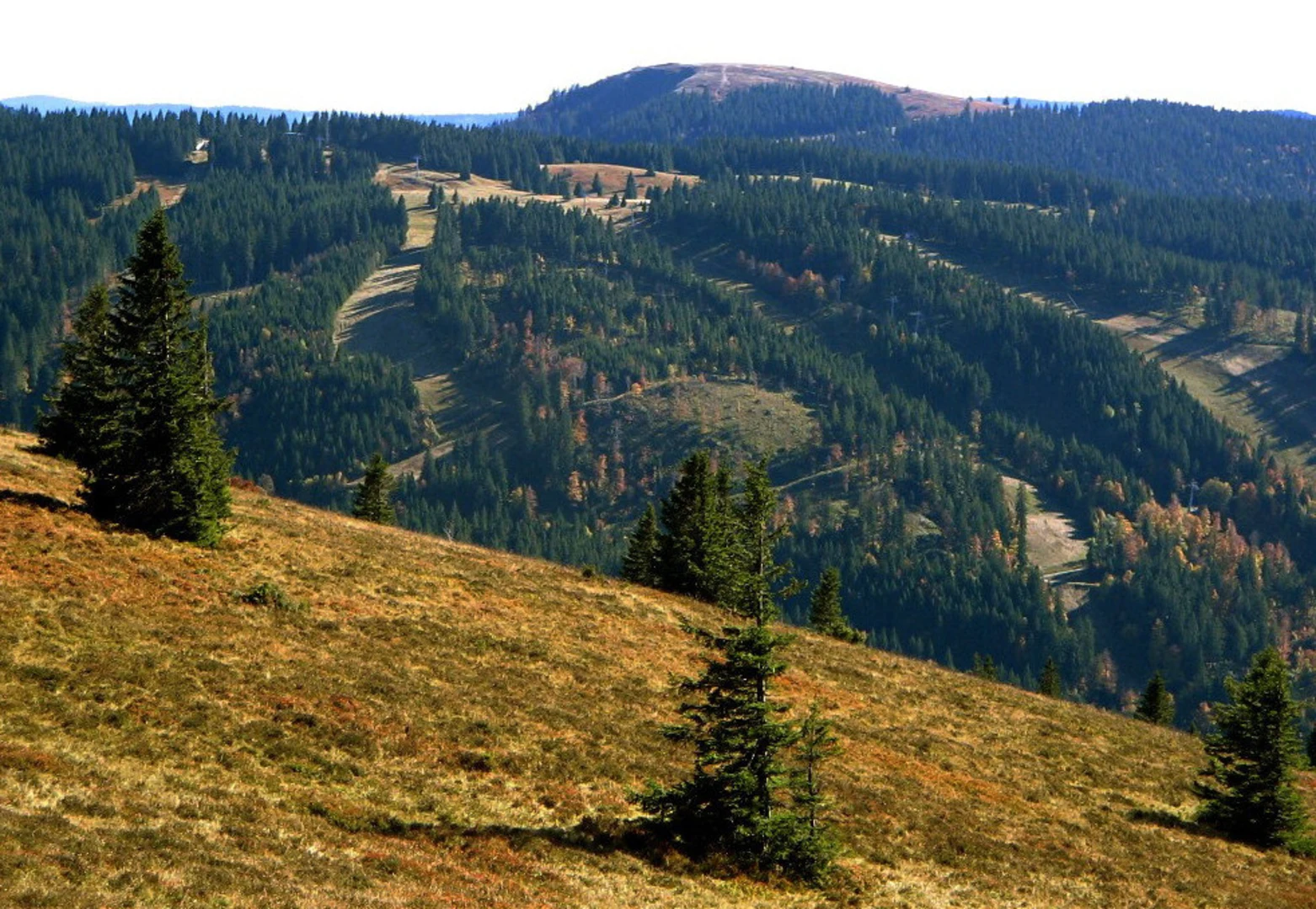 An image depicting the trail Glockführe, Herzogenhorn and Finsterbuhl Loop and its surrounding area.