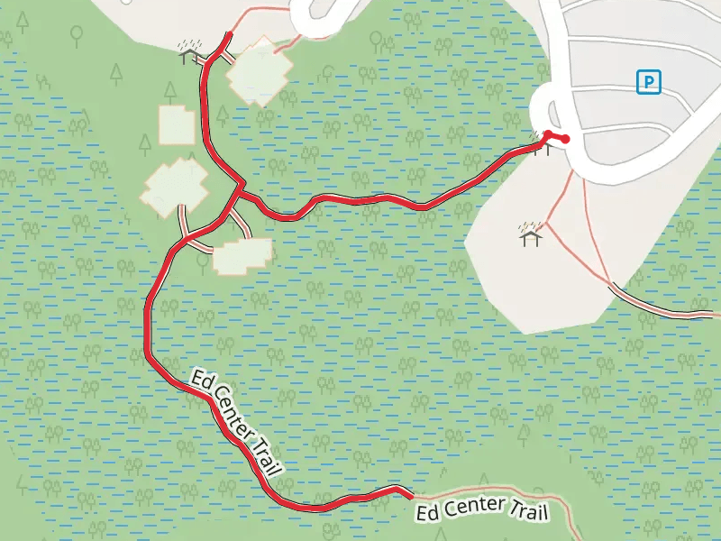 Brooker Creek Preserve and Environmental