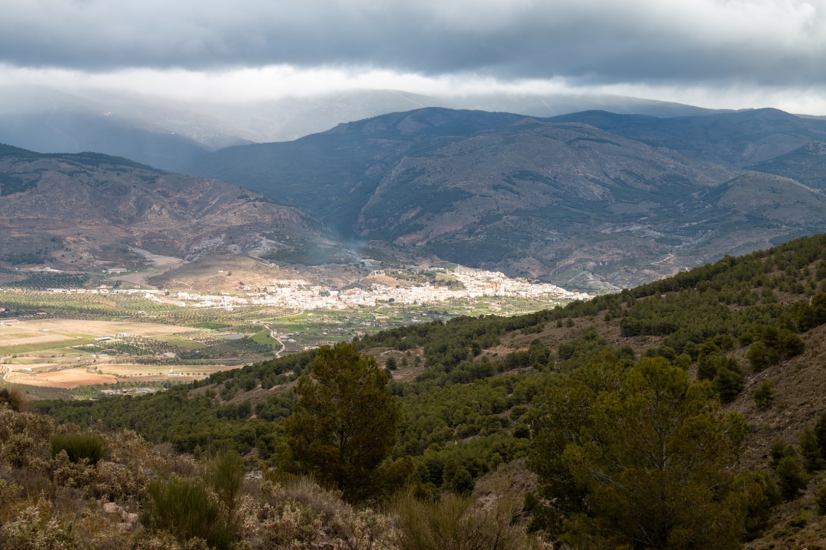 An image depicting the trail Sendero del Aguadero PR A 37 and its surrounding area.