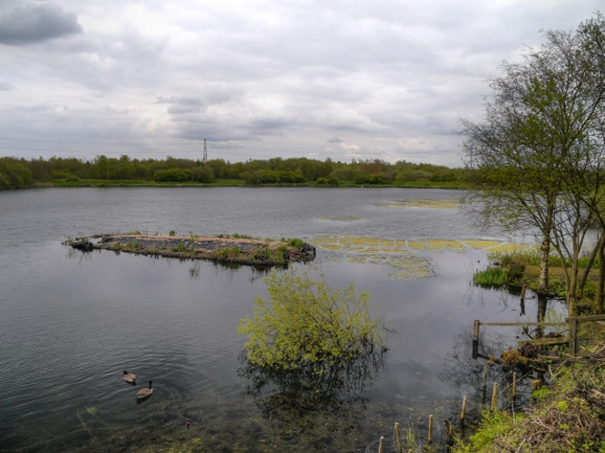Blackleach Reservoir via Linnyshaw Loopline