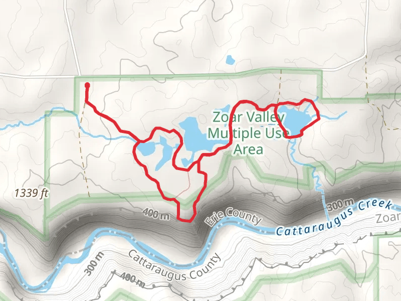 Holcomb Pond Loop