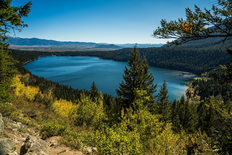 Open Canyon Cutoff Loop via Kaufmann Creek Trail