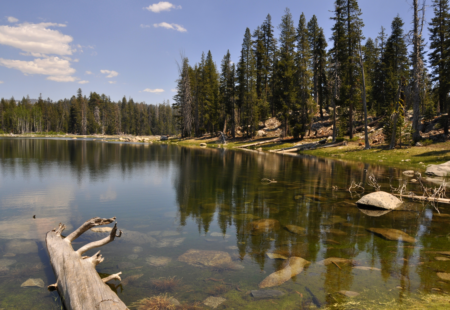 An image depicting the trail Harden Lake and Middle Tuolumne River Loop and its surrounding area.