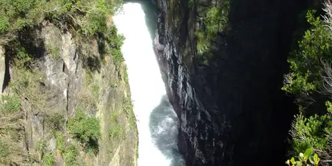 Jacks Blowhole Track