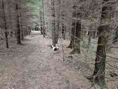 Alan Carruthers  avatar