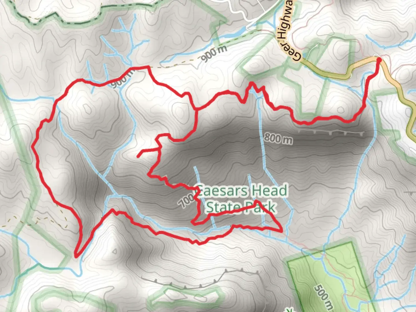 An image depicting the trail Dismal, Naturalnd Trust and Gum Gap Loop Trail and its surrounding area.
