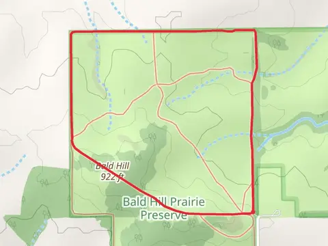 Bald Hill and Big Tree Loop Trail