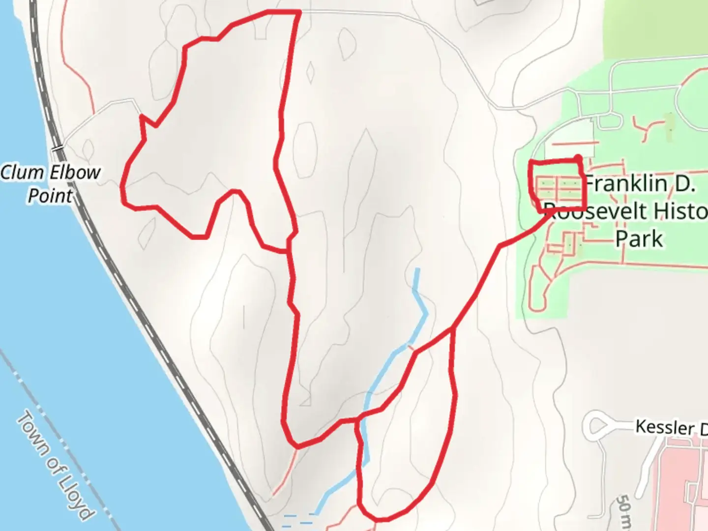 An image depicting the trail Hyde Park Train - Green and Forest Trail - Green Loop and its surrounding area.