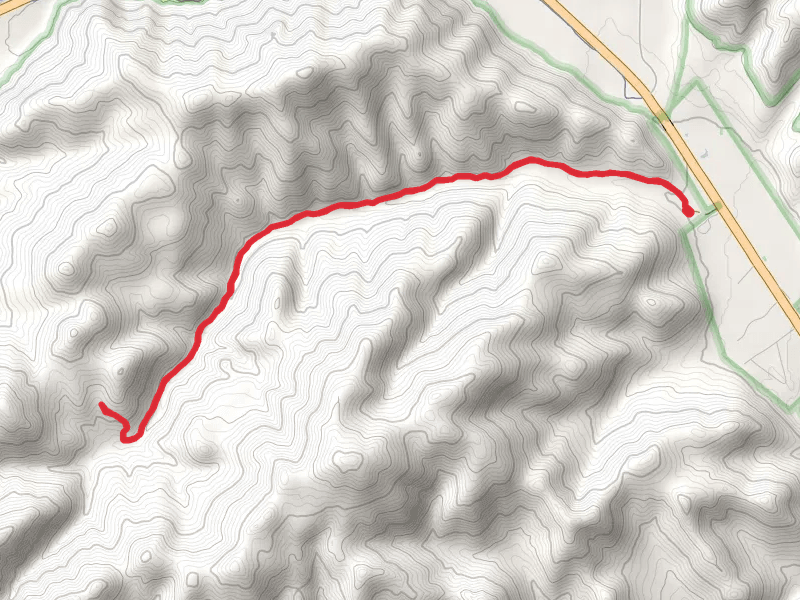 Oregon Gulch