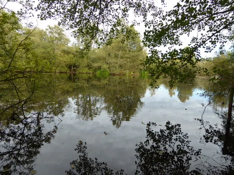 Sparham Pools Nature Reserve Loop