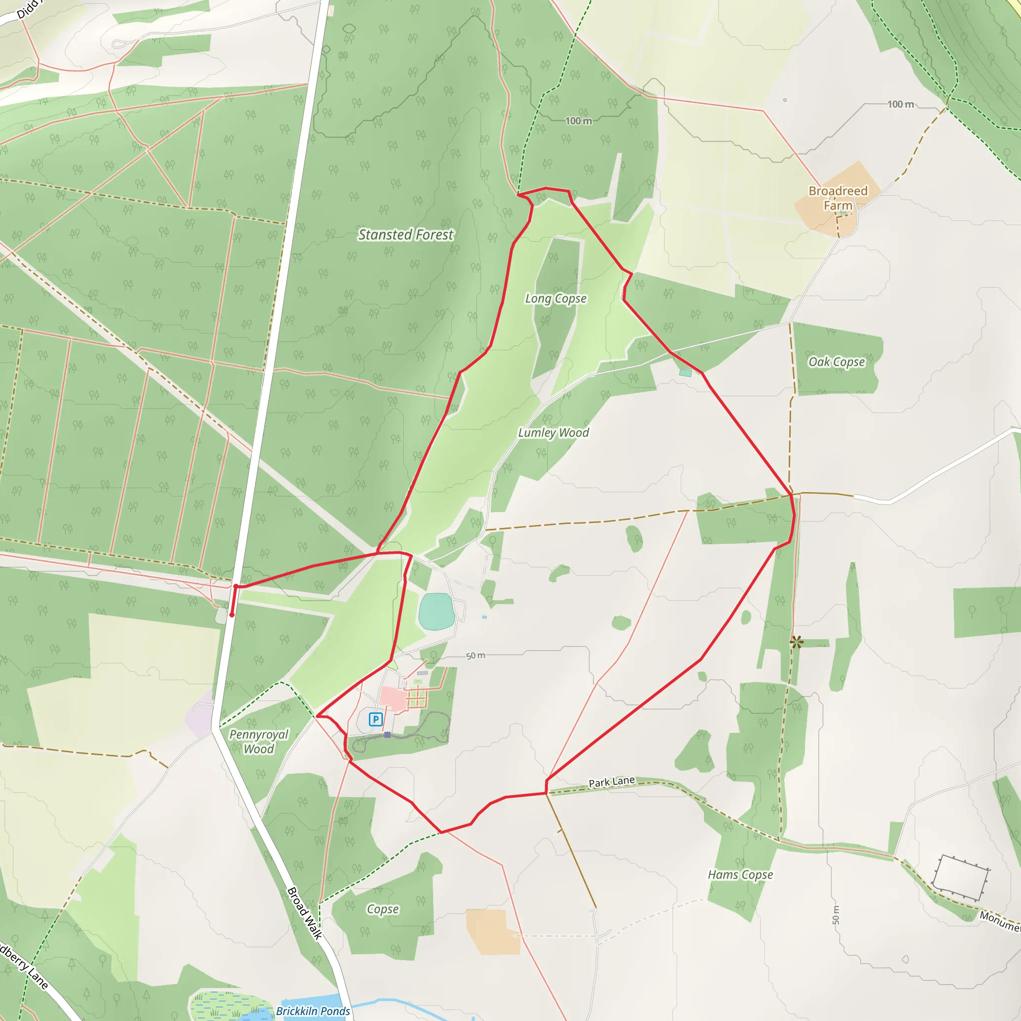 Stansted Park Short Loop | West Sussex | England