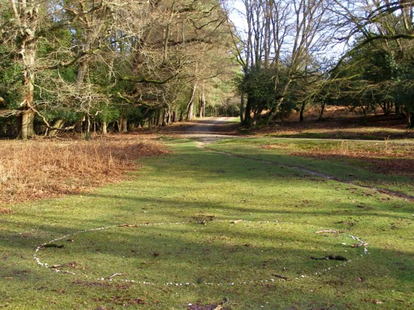 An image depicting the trail Puckpits Inclosure loop and its surrounding area.