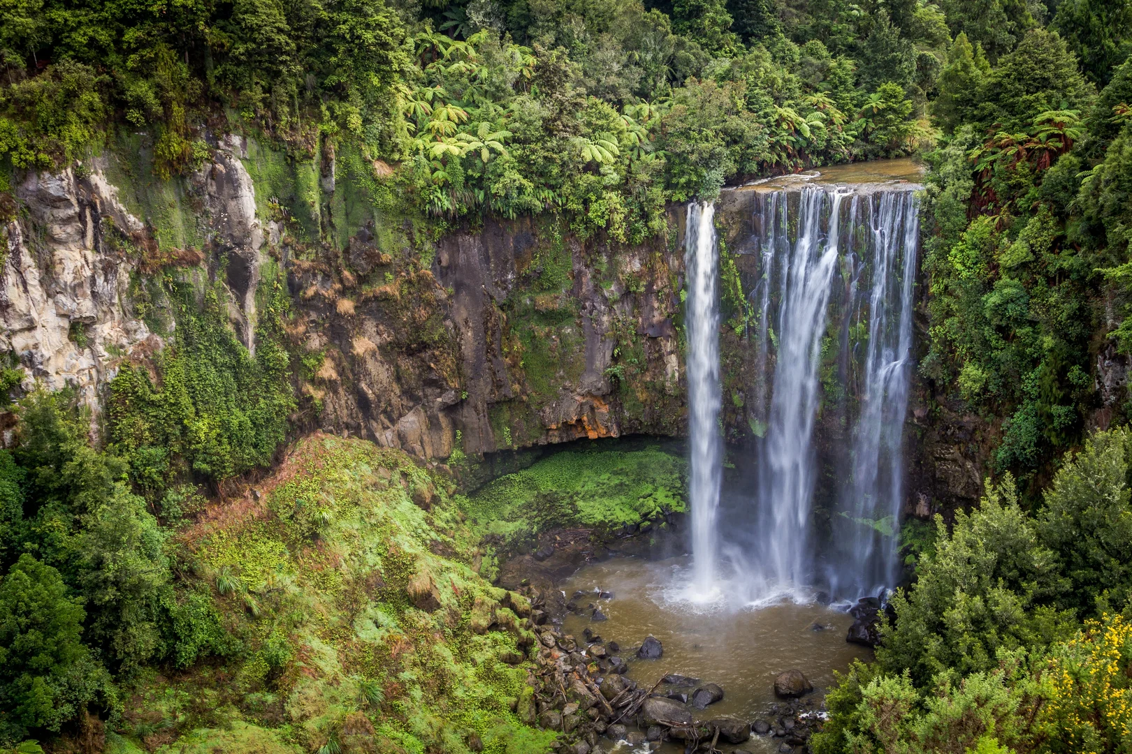 An image depicting the trail Omaru Falls Walk and its surrounding area.
